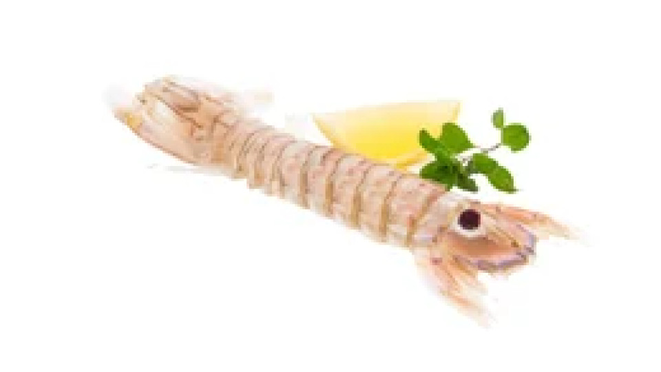 Canocchie 300 g
