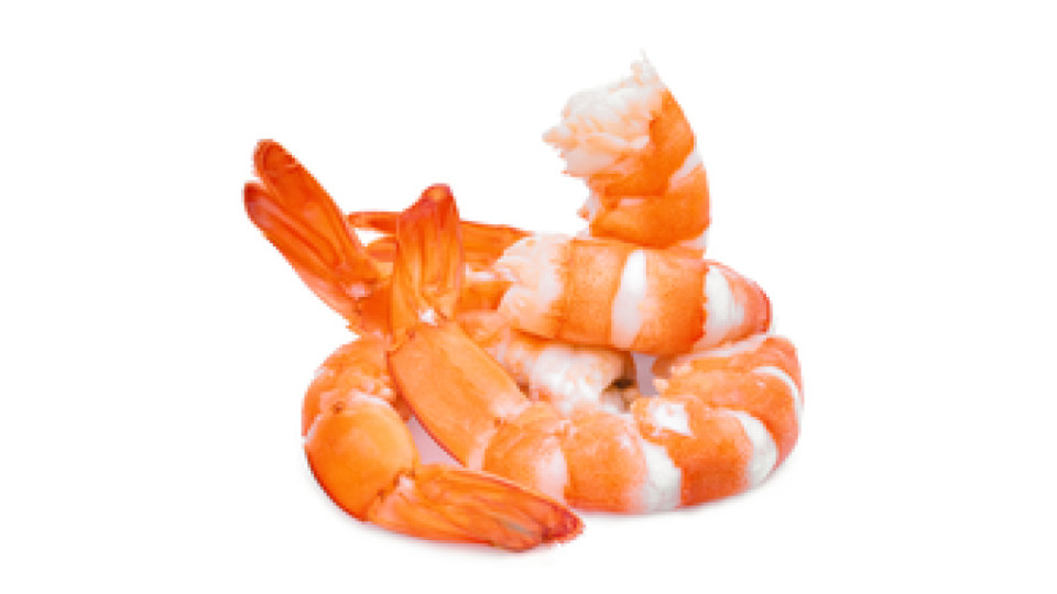 Code di Gambero Argentina decongelate pescati Oceano Atlantico con reti da traino