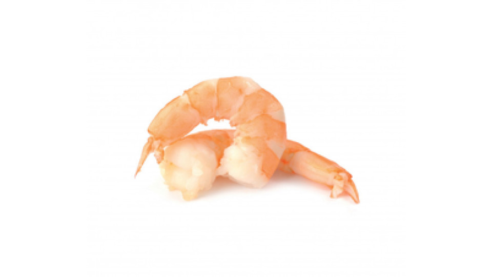 Code di Mazzancolle Tropicali Sgusciate