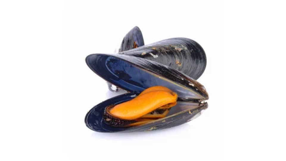 Cozze 1 kg