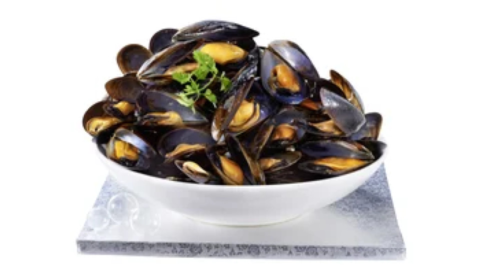 Cozze allevate
