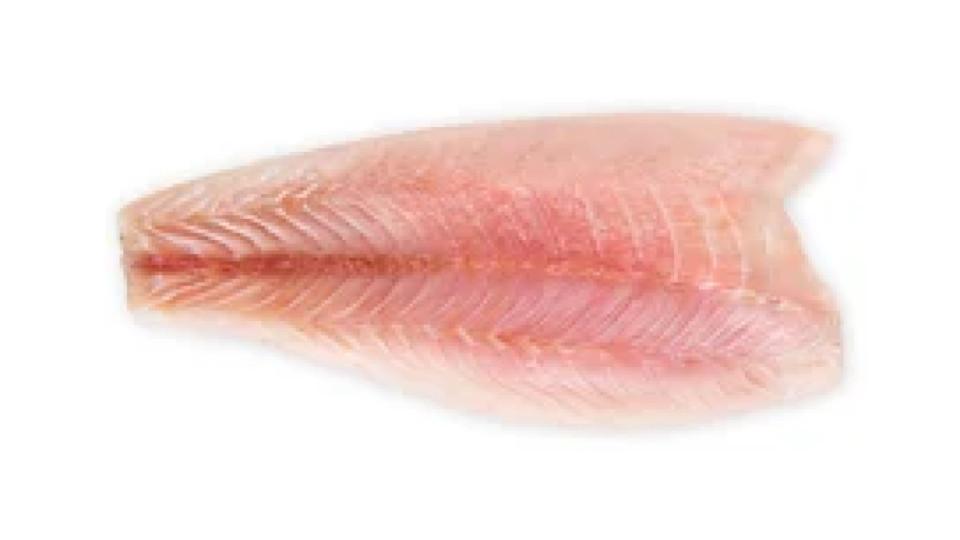 Filetti di Branzino Allevato Croazia