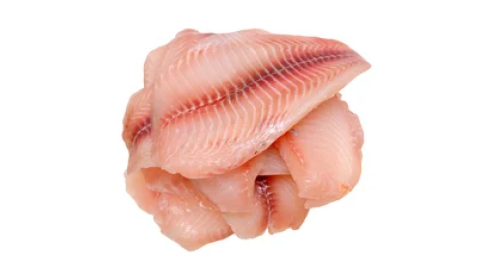 Filetto di Gallinella
