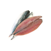 Filetto di Sardina