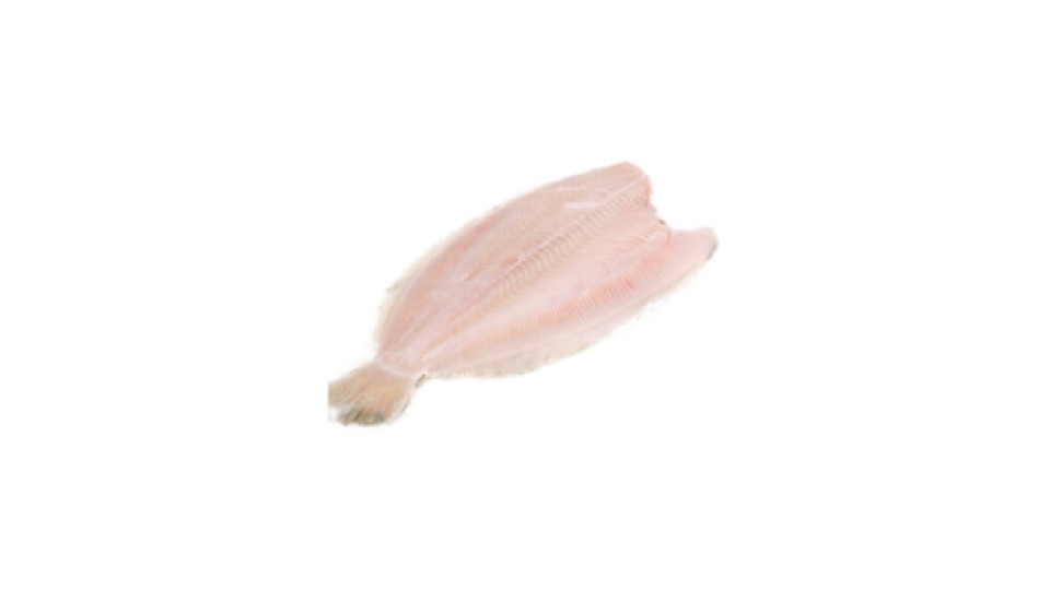 Filetto di Sogliola