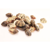 Lupini da Banco 500g Pescati Italia