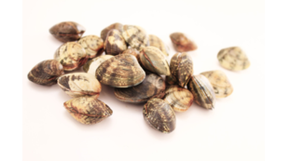 Lupini da Banco 500g Pescati Italia