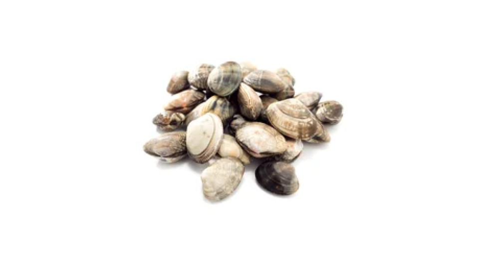 Lupino Nazionale Grande da Banco 500 g Pescati Italia