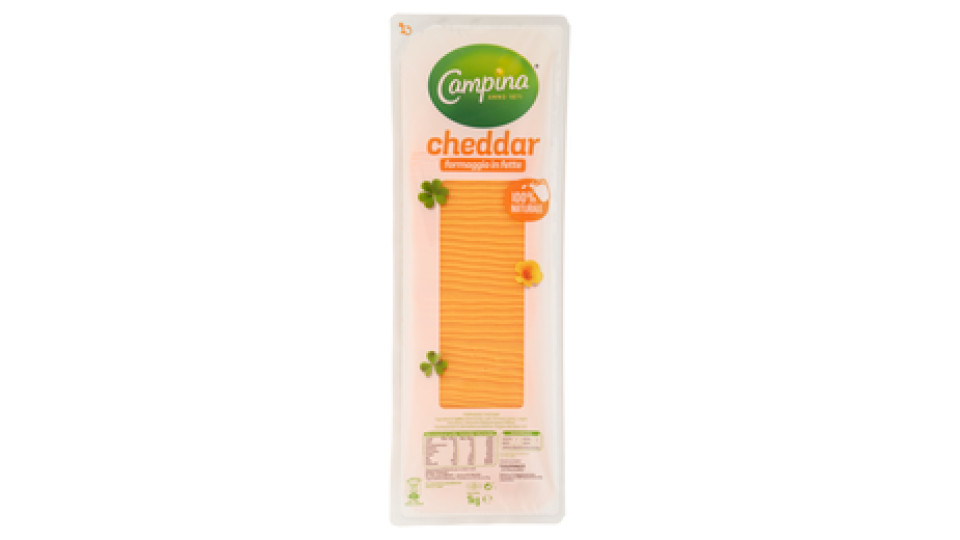Campina cheddar formaggio a fette 1 Kg