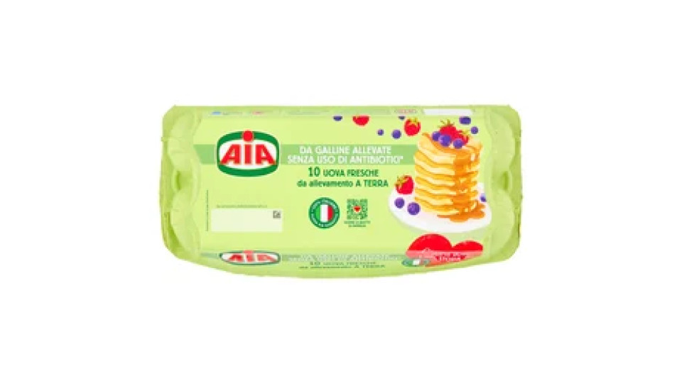 Aia 10 Uova Fresche da allevamento a Terra 530 g