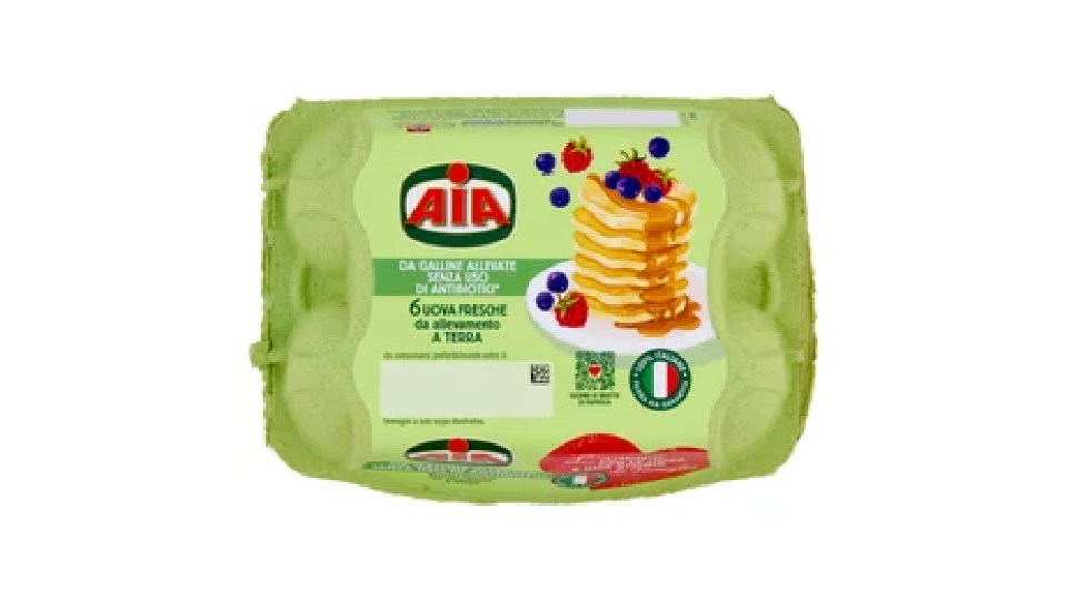 Aia 6 Uova Fresche da allevamento a Terra 330 g