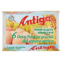 Antiga 6 Uova fresche grandi dal sapore antico