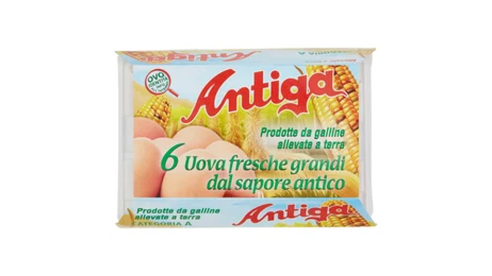Antiga 6 Uova fresche grandi dal sapore antico