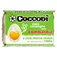 Coccodì dalle campagne della Lombardia 6 Uova Fresche Grandi da allevamento a Terra