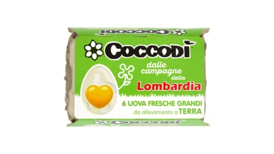 Coccodì dalle campagne della Lombardia 6 Uova Fresche Grandi da allevamento a Terra