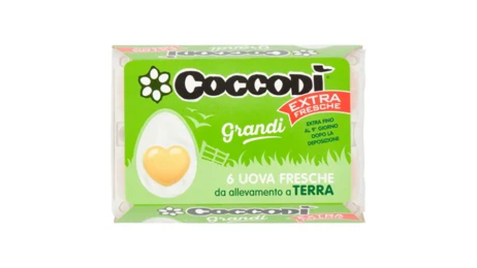 Coccodì Grandi Extra Fresche 6 Uova Fresche da allevamento a Terra