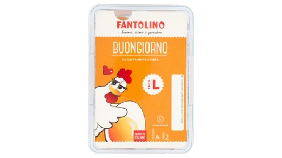 Fantolino Buongiorno 6 Uova Fresche da Allevamento a Terra Taglia L
