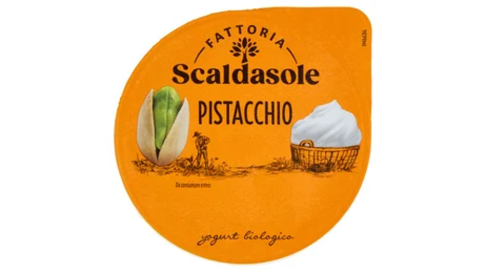 Fattoria Scaldasole Pistacchio yogurt biologico135 g