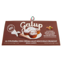 Galup la Colomba con Crema alle Nocciole Crunchy Senza Canditi 750 g + sac à poche 150 g