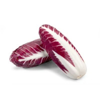 Radicchio lungo sfuso categoria I origine Italia