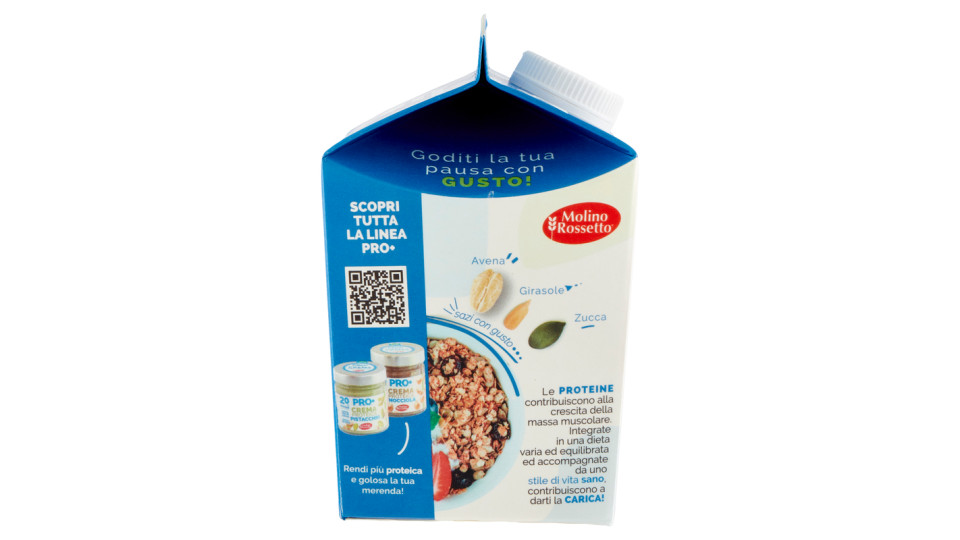 Molino Rossetto Pro+ Porridge Proteico Basic + con semi di zucca e girasole 300 g