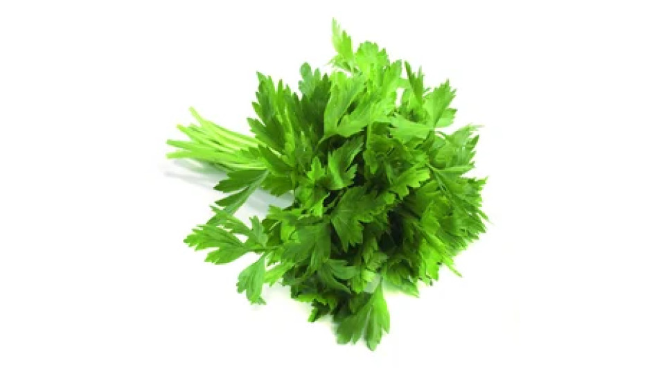 Prezzemolo 40 g