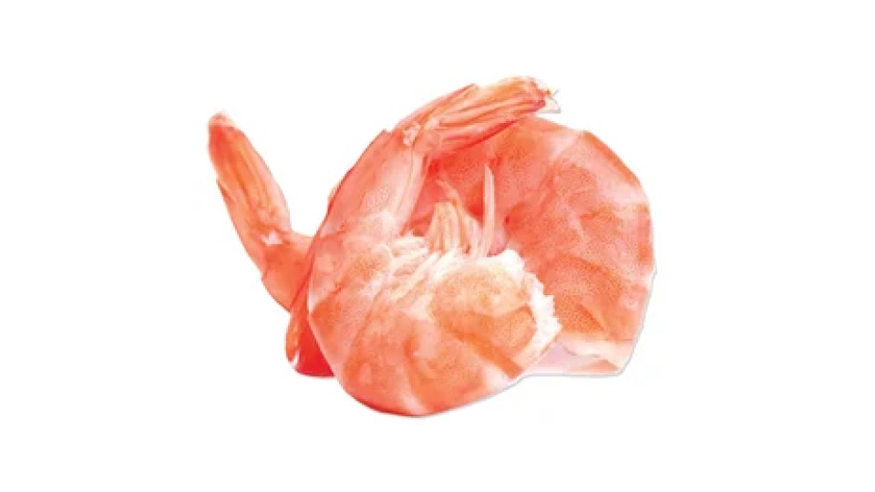 Mazzancolle Tropicali con Coda Bio