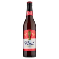 Bud Birra lager internazionale grafica FIFA bottiglia 50 cl
