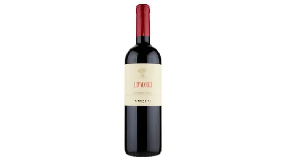 Coppo L'Avvocata Barbera d'Asti DOCG 75 cl