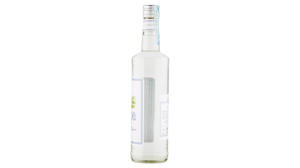 grappa Fine Distillato di Vinaccia 70 cl