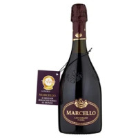 Marcello Lambrusco dell'Emilia IGP Vino Spumante Rosso Dry 0,75 l