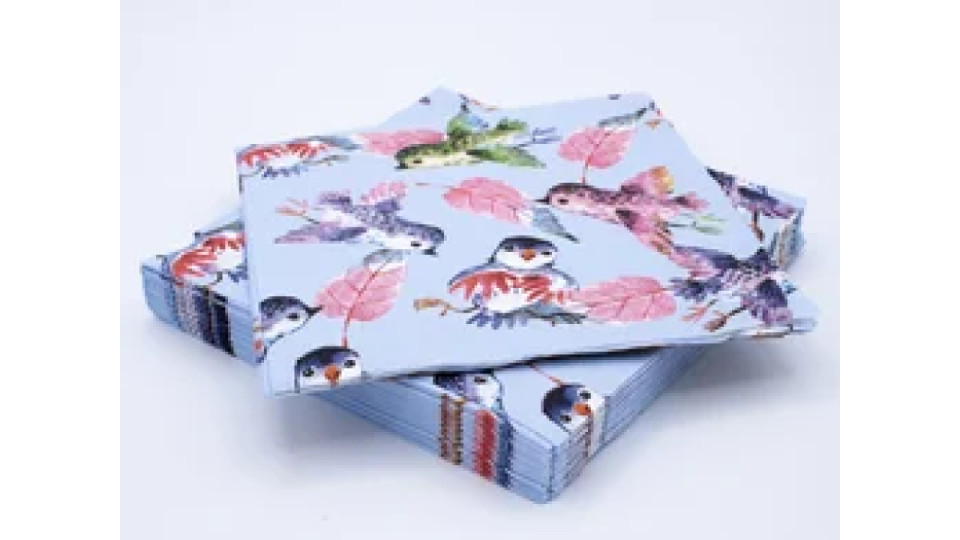20 tovaglioli 33x33 3 veli Country Birds