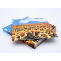 20 tovaglioli 33x33 3 veli Girasoli