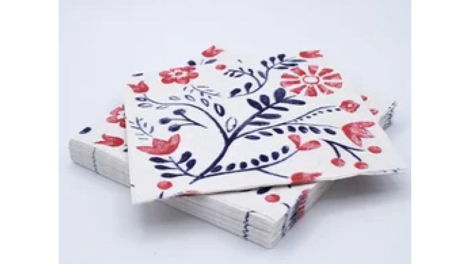 20 tovaglioli 33x33 3 veli Scandi Floral