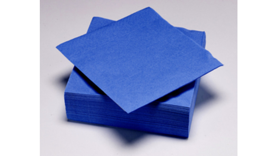 Le Nappage 50 tovaglioli in ovatta 33x33cm 2veli Blu notte FSC