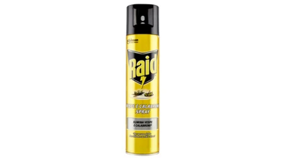 Raid Vespe e calabroni, spray aerosol, 1 bombola da 400 ml