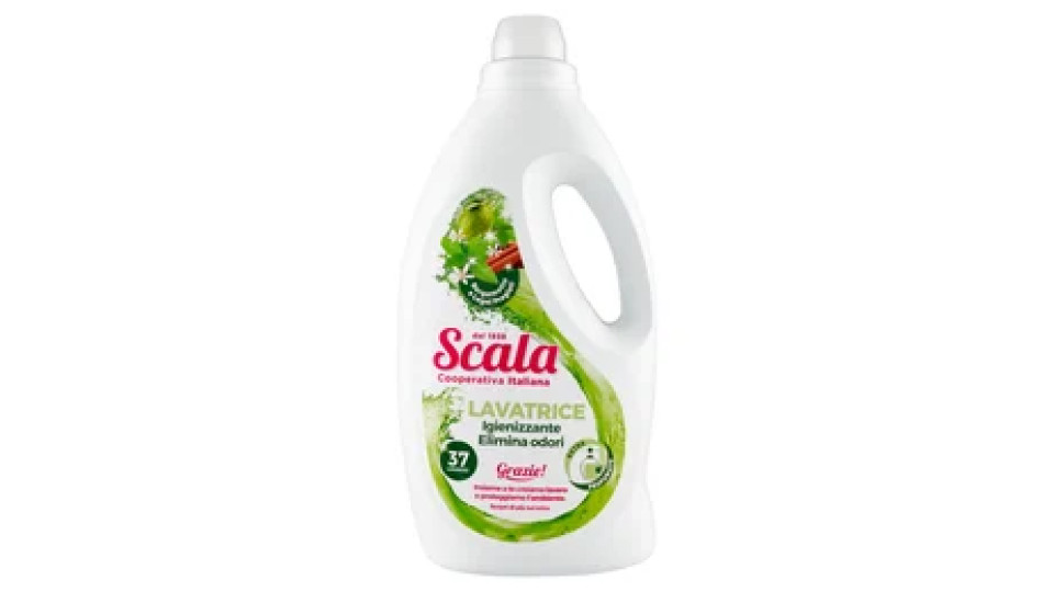 Scala Lavatrice Igienizzante Elimina Odori Bergamotto e Legni Pregiati 1500 ml
