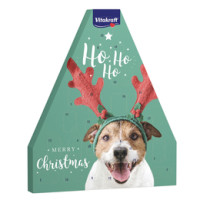 Calendario Avvento cane