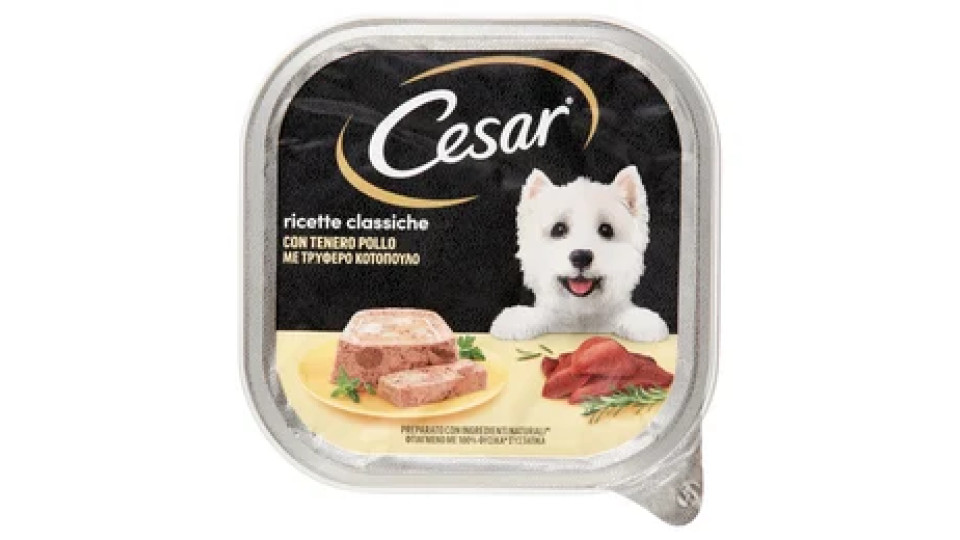 Cesar Ricette Classiche Cibo Umido Cane con Tenero Pollo 300 g