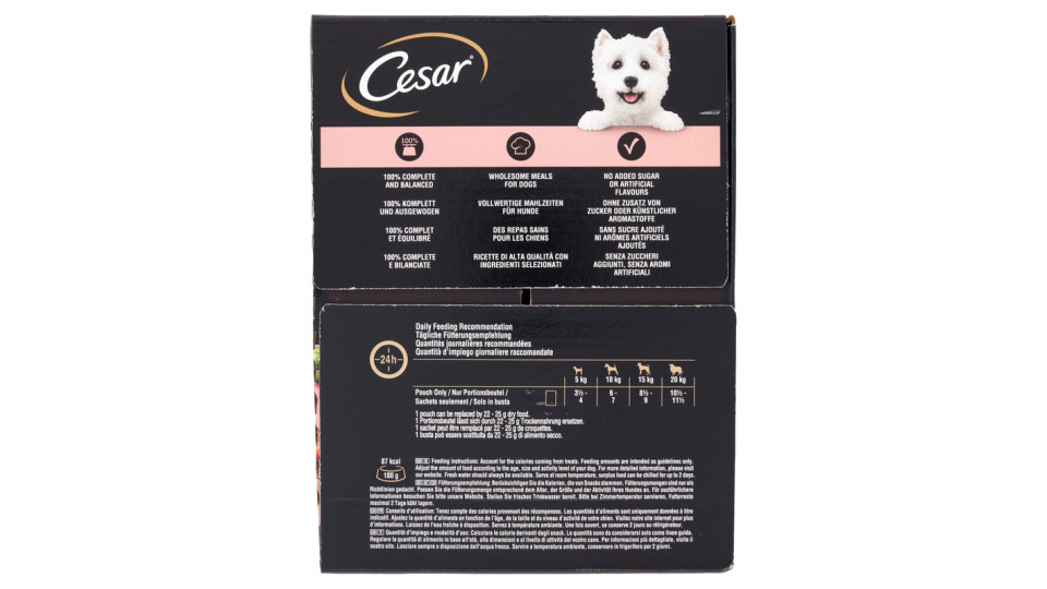 Cesar Selezione in salsa 24 x 100 g