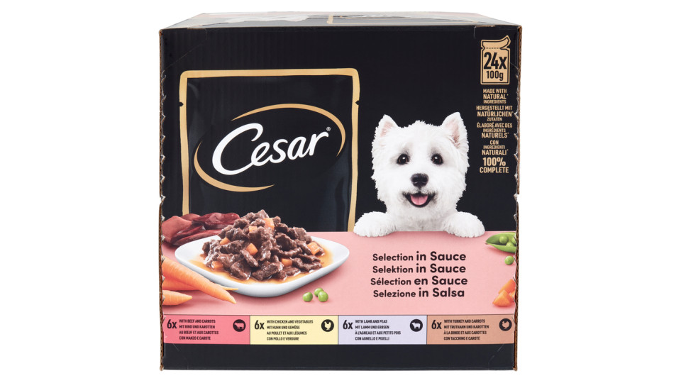 Cesar Selezione in salsa 24 x 100 g