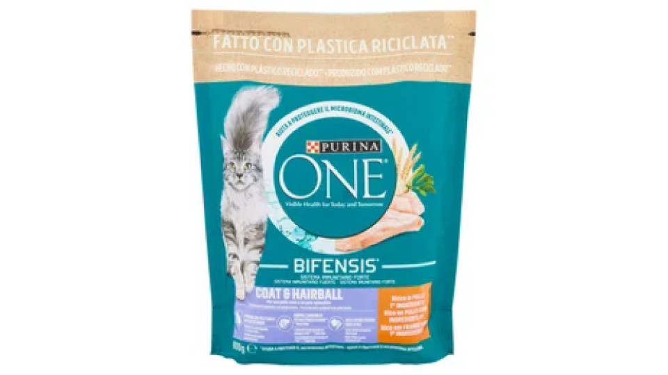 PURINA ONE Coat & Hairball Ricco in Pollo 800 g