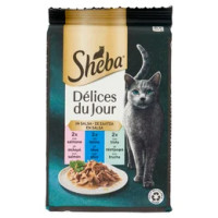 Sheba Délices du Jour Cibo Umido Gatto in Salsa con Salmone, Tonno e Trota 6 x 50 g