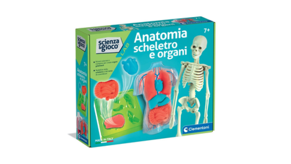 Clementoni Science & Play Anatomia Scheletro E Organi