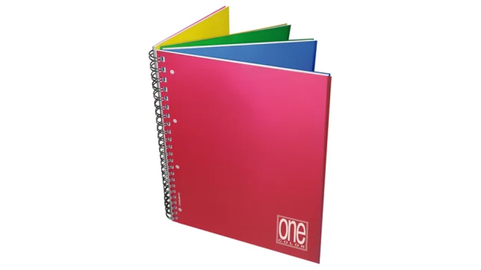 Blasetti Maxi Quaderno a spirale One Color 4x4 PPL A4 fogli 120+4 80 g/m²
