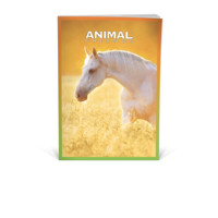 PaperDream Maxi quaderno Animal Friends A4 100gr rigatura 4M