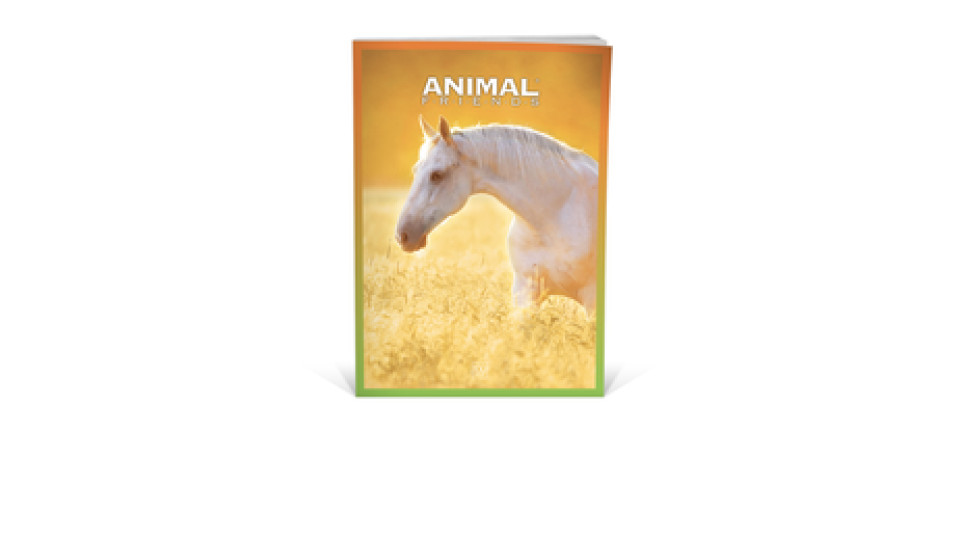 PaperDream Maxi quaderno Animal Friends A4 100gr rigatura 4M