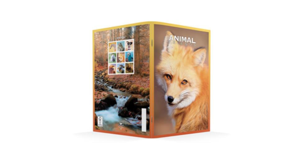 PaperDream Maxi quaderno Animal Friends A4 100gr rigatura A