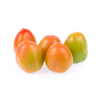 Pomodoro oblungo verde sfuso cat. I calibro 35/40 origine Italia/Spagna