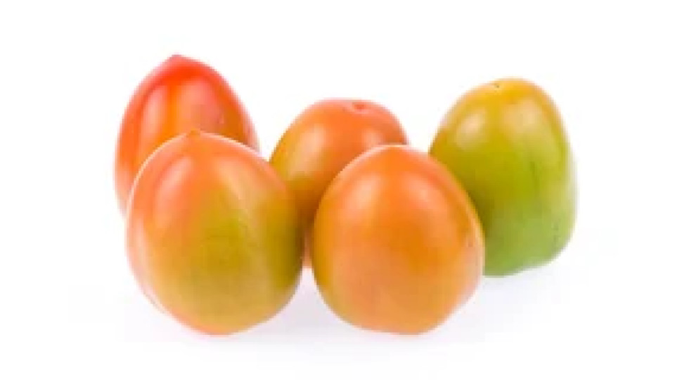 Pomodoro oblungo verde sfuso cat. I calibro 35/40 origine Italia/Spagna